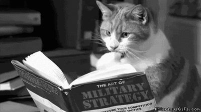 Cat-reading-1.gif