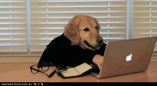 dog typing