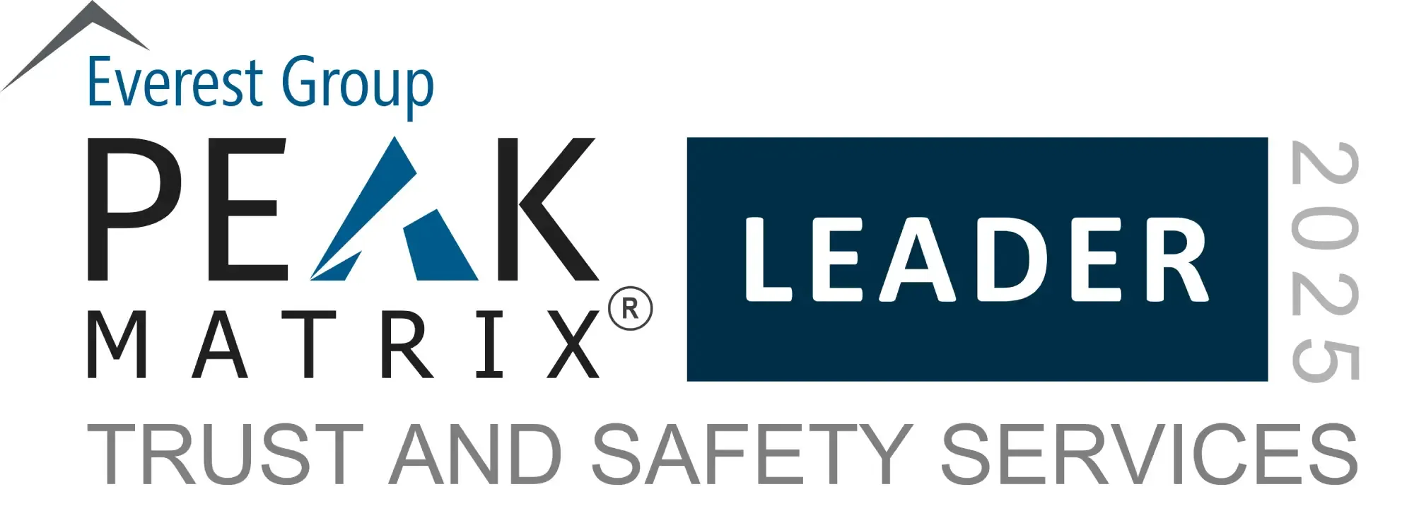 Major Contender on Everest Group’s B2B Sales Services PEAK Matrix® Assessment 2024