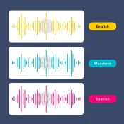 Multilingual Data Collection